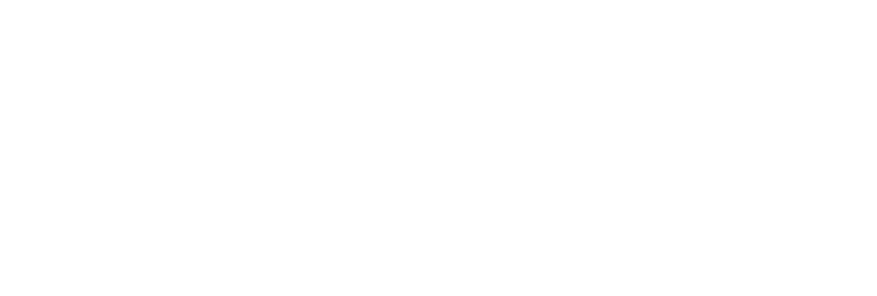 icon-brand-conexus